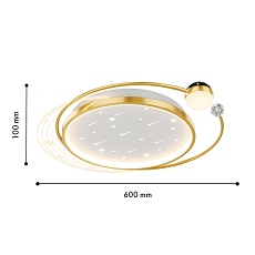 Потолочный светильник F-Promo 4743-5C 3