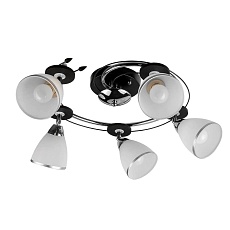 Спот Toplight Sara TL2730X-05BC