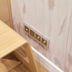 Накладка для телефонной розетки Werkel RJ-11 (шампань рифленый) W1192010 4690389160707 1