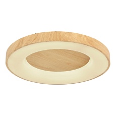 Потолочный светодиодный светильник Globo Jolli 41758-42