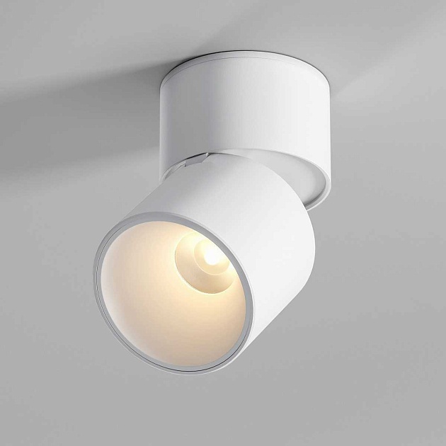 Потолочный светильник Elektrostandard 25112/LED a067486 Фото № 1