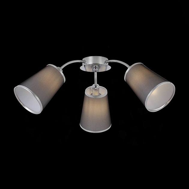 Потолочная люстра Evoluce Maleonte SLE103002-03 Фото № 2