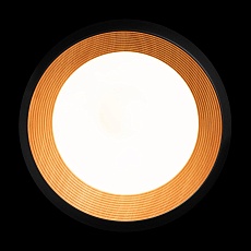 Потолочный светильник Loft IT Folk 10255/500 Black 4