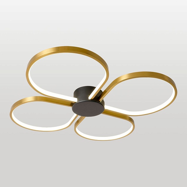 Потолочный светодиодный светильник Lussole Lowell LSP-7351 Фото № 1