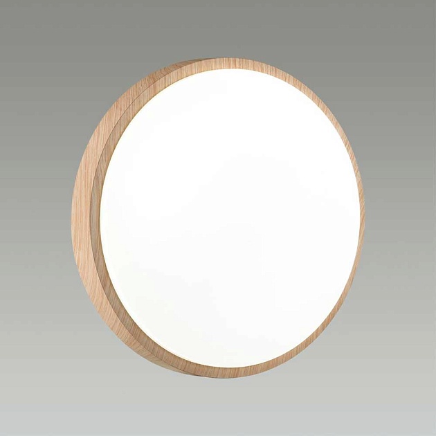 Настенно-потолочный светодиодный светильник Sonex Losta 7607/AL Фото № 3