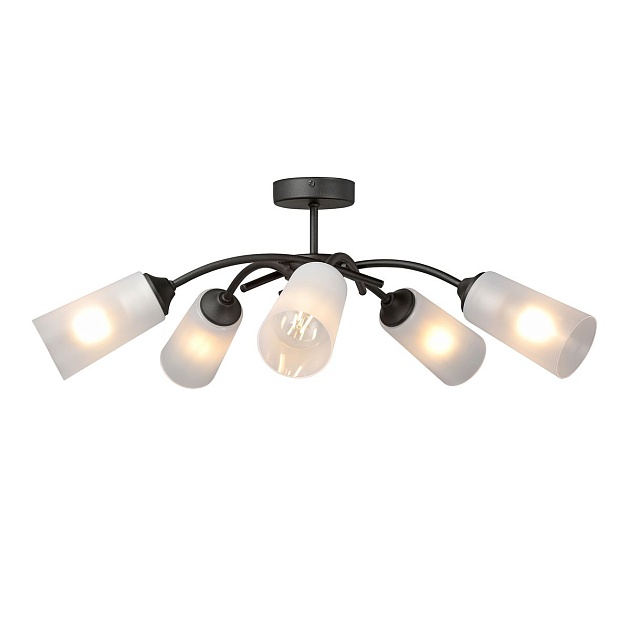 Потолочная люстра Vitaluce V2850-1/5PL Фото № 4