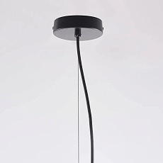 Подвесная люстра Imperium Loft Peo A D60 232561-23 3