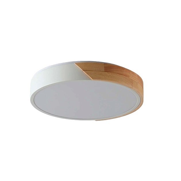 Потолочный светильник Zortes ALBERRO ZRS.01289.48 Фото № 1