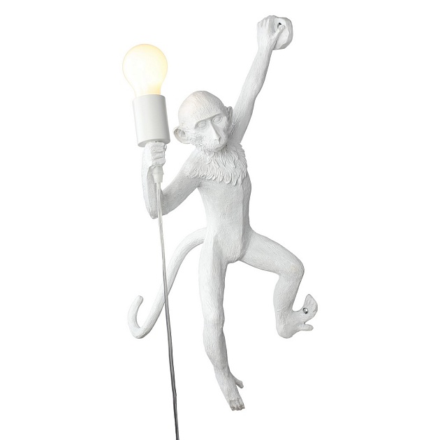 Светильник настенный Aployt Magali APL.309.01.01 Фото № 1