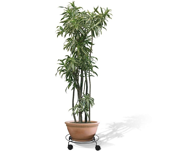 Подставка для цветов Sheffilton Пальмина 3 черный 5132128201 Фото № 3