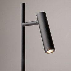 Торшер Maytoni Estudo Z010FL-L8B3K 4