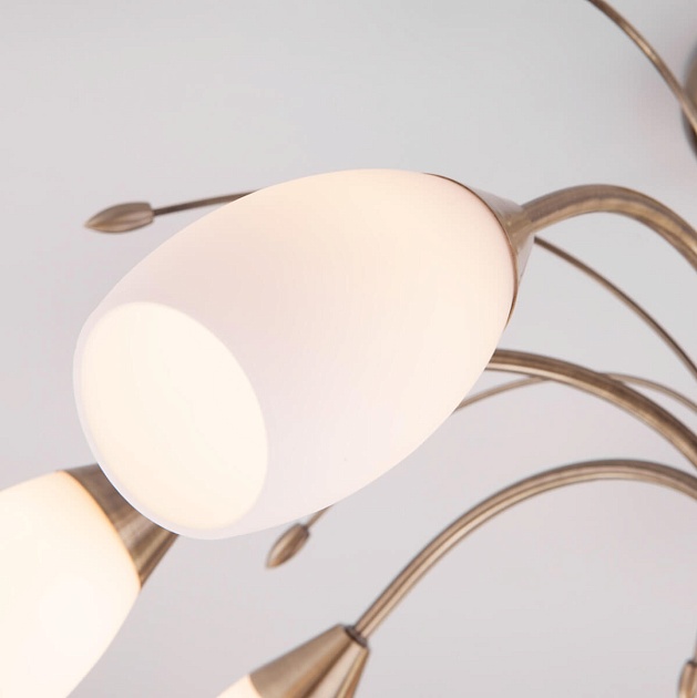 Потолочная люстра Eurosvet 30280/8 античная бронза изображение 5 Потолочная люстра Eurosvet 30280/8 античная бронза Фото № 5