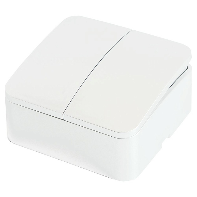 Выключатель двухклавишный Stekker белый MSW10-20-01 49289 изображение 1 Выключатель двухклавишный Stekker белый MSW10-20-01 49289 Фото № 1