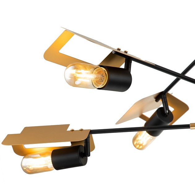 Подвесная люстра Indigo Severo 10004/6R Black V000174 изображение 3 Подвесная люстра Indigo Severo 10004/6R Black V000174 Фото № 3