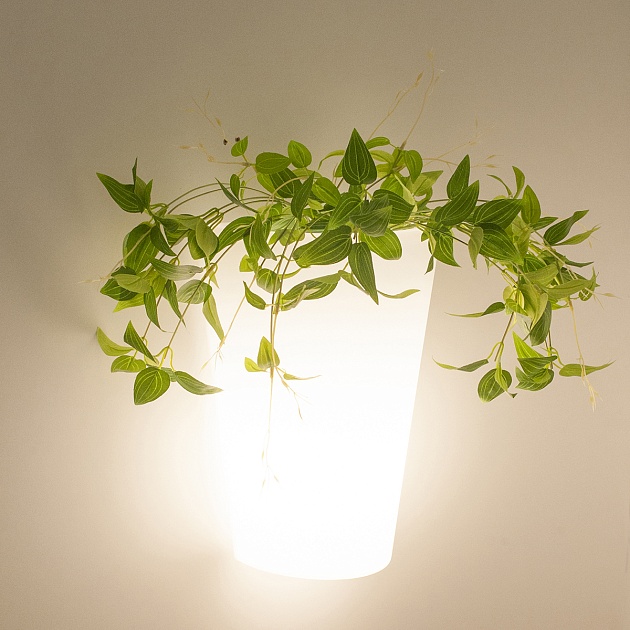 Уличный настенный светильник Mantra Teja 6508 Фото № 5