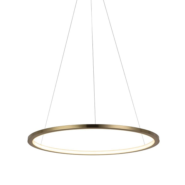 Подвесной светодиодный светильник Loft IT Ring 10014M Фото № 2