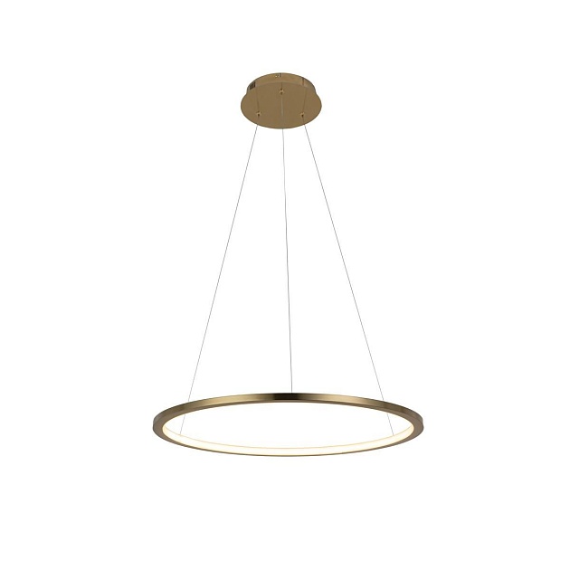 Подвесной светодиодный светильник Loft IT Ring 10014M Фото № 1