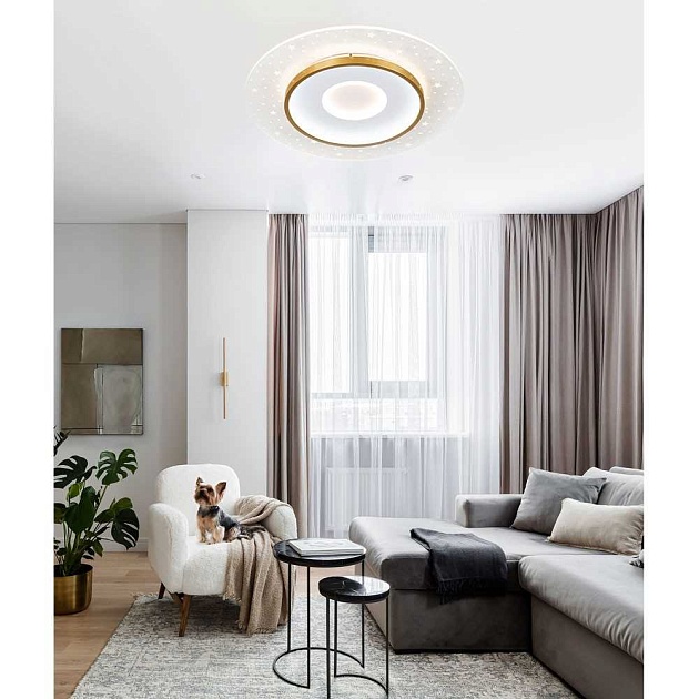 Потолочный cветильник LED4U L1027-500 WH-GD изображение 2 Потолочный cветильник LED4U L1027-500 WH-GD Фото № 2