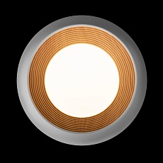 Потолочный светильник Loft IT Folk 10255/350 White 4