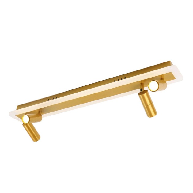 Светодиодный спот Arte Lamp Tommy A2607PL-30GO Фото № 1