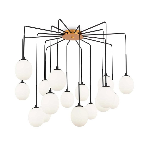 Подвесная люстра Maytoni Branch MOD176PL-16G Фото № 1