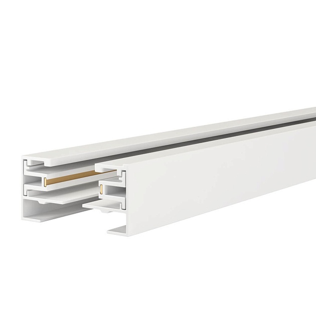 Шинопровод однофазный Maytoni Technical Busbar trunkings TRX001-113W Фото № 1