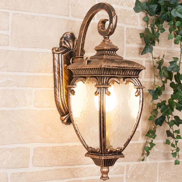 Уличный настенный светильник Elektrostandard Andromeda D (GLYF-8024D) a027996 изображение 1 Уличный настенный светильник Elektrostandard Andromeda D (GLYF-8024D) a027996 Фото № 1