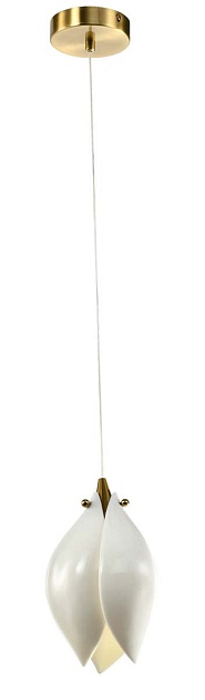 Подвесной светильник Zortes DALIN ZRS.90609.01 изображение 6 Подвесной светильник Zortes DALIN ZRS.90609.01 Фото № 6