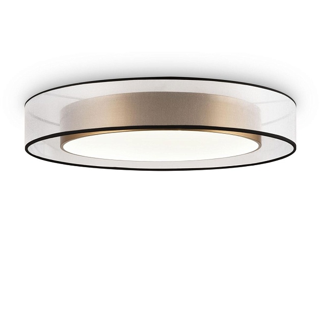 Потолочный светодиодный светильник Freya Zoticus FR6005CL-L48G изображение 1 Потолочный светодиодный светильник Freya Zoticus FR6005CL-L48G Фото № 1