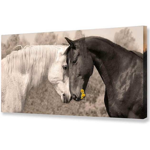 Холст Toplight 50х100х3см TL-H0018 изображение 1 Холст Toplight 50х100х3см TL-H0018 Фото № 1