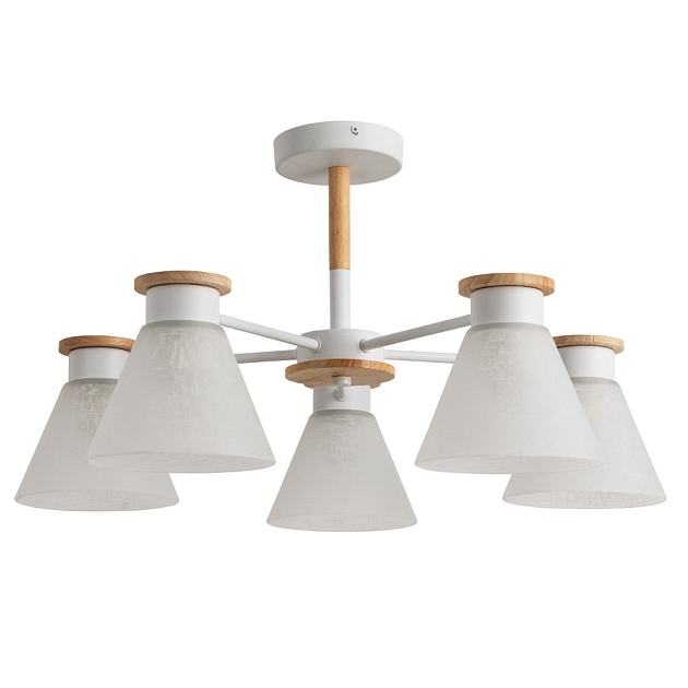 Потолочная люстра Arte Lamp Tyler A1031PL-5WH Фото № 1