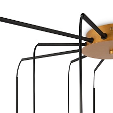 Подвесная люстра Maytoni Branch MOD176PL-12G 2