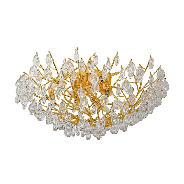 Потолочная люстра Favourite Pluvia 4162-10C Фото № 1