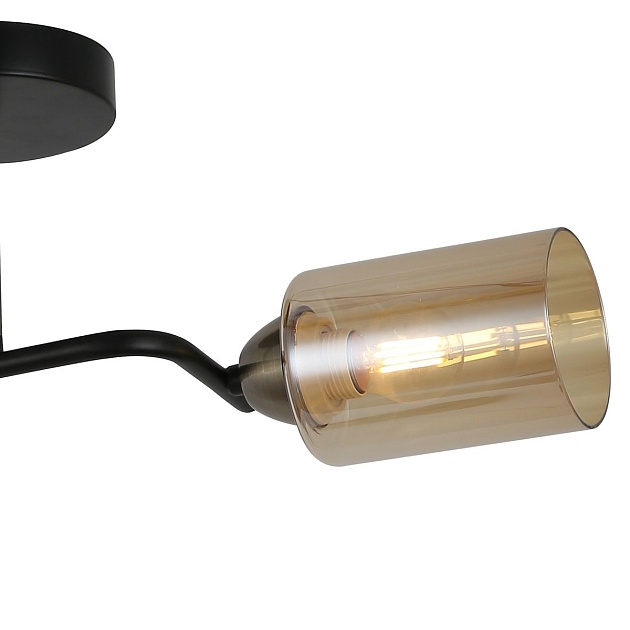 Потолочная люстра Illumico IL8148-2COU-79 BK BR Фото № 3