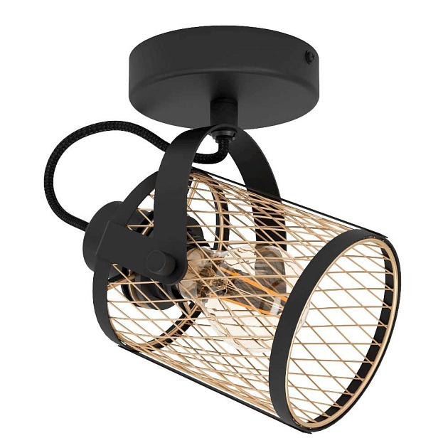 Спот Eglo Dellow 43531 Фото № 1