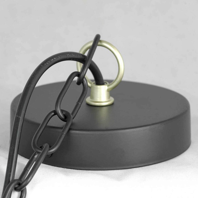 Подвесная люстра Lussole Lgo Roosevelt LSP-8198 изображение 7 Подвесная люстра Lussole Lgo Roosevelt LSP-8198 Фото № 7