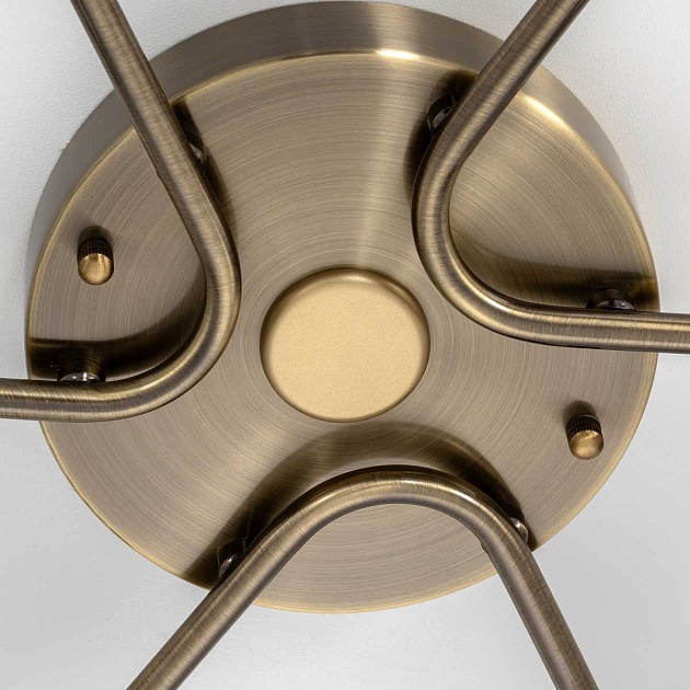 Потолочная светодиодная люстра Citilux Адам Смарт CL228A163 изображение 4 Потолочная светодиодная люстра Citilux Адам Смарт CL228A163 Фото № 4