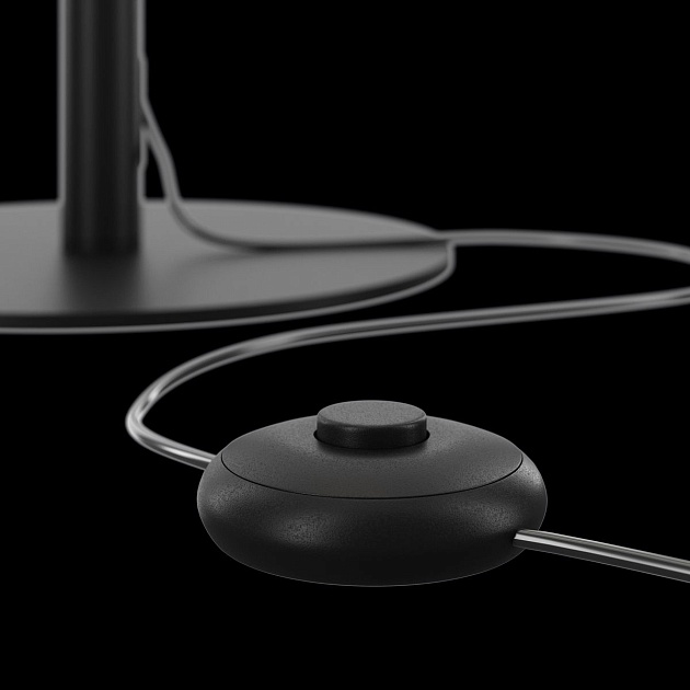 Торшер Maytoni Ray Z012FL-L18B3K Фото № 8