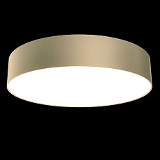 Потолочный светодиодный светильник Maytoni Technical Zon C032CL-L43MG3K 2