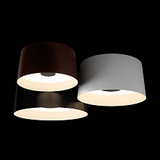 Потолочный светодиодный светильник Loft IT Duo 10360/3 2