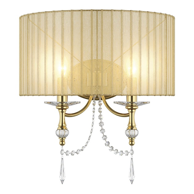 Настенный светильник Lightstar Paralume 725623 Фото № 1