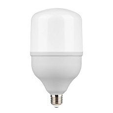 Лампа светодиодная Gauss E27 50W 6500K матовая 63235