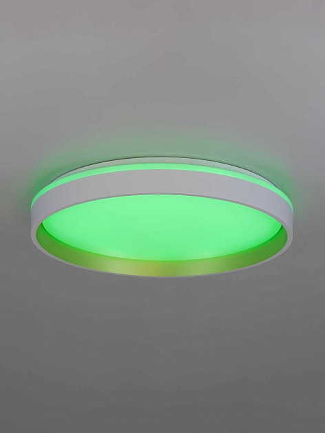 Светильник потолочный Citilux ENZO CL753450G Фото № 9