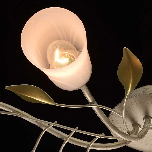 Потолочная люстра MW-Light Восторг 242015306 Фото № 10