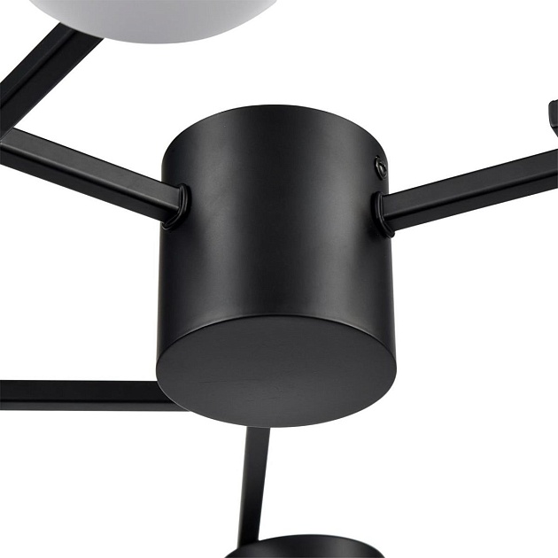 Потолочная люстра Lumion Comfi Dabra 8186/6C изображение 5 Потолочная люстра Lumion Comfi Dabra 8186/6C Фото № 5