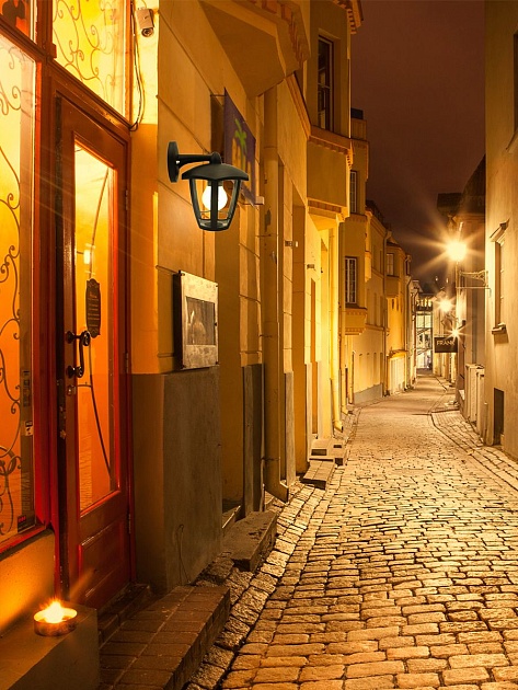 Уличный настенный светильник Apeyron Дели 11-165 Фото № 6