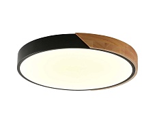 Потолочный светильник Zortes ALBERRO ZRS.01237.90 4