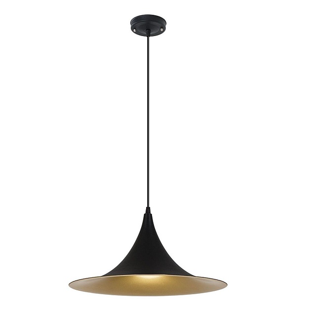 Подвесной светильник Arte Lamp Carmel A7080SP-1BK Фото № 1