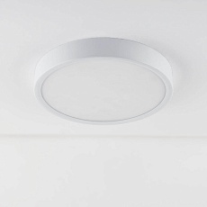 Потолочный светодиодный светильник Elektrostandard DLR034 18W 4200K a043015 1