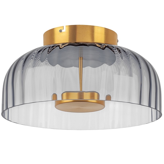 Потолочный светодиодный светильник Lightstar Celesta 809061 Фото № 1